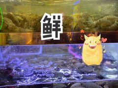 -桥东喜碧海鲜街(水东街店)