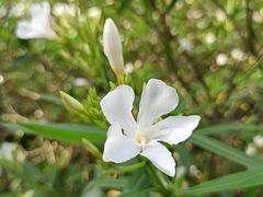 -共青国家森林公园-南大门停车场