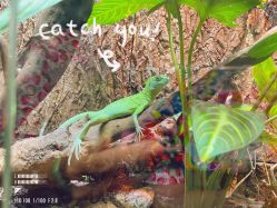 -酷嗒动物文化乐园(cutezoo西溪乐天城店)