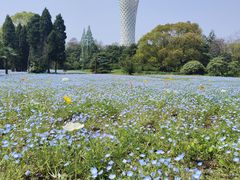 -上海滨江森林公园