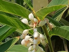 -晓港公园