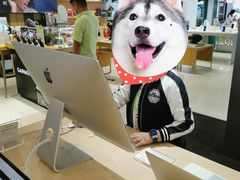 -美承数码店