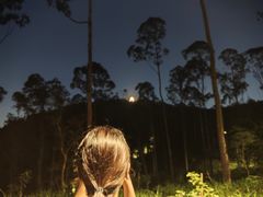 -水濂山森林公园