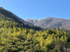 -安吉龙王山风景区