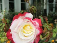 -人民公园(罗湖区)