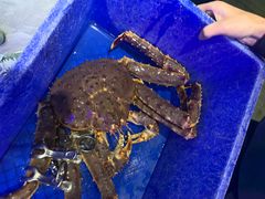 -蟹之国·精品蟹料理(极地店)