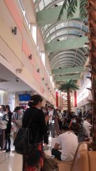 -复旦大学附属妇产科医院(杨浦院区)