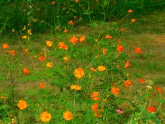 -永定河休闲森林公园