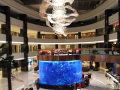 水产区-OPEN開全日自助餐厅·牛肉火锅·海鲜(佛山希尔顿酒店)