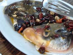 -肥婆麻辣火锅.顺德首创药材麻辣火锅(容桂店)