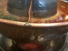 -楼外楼大刀肉传统火锅居(幸福街店)