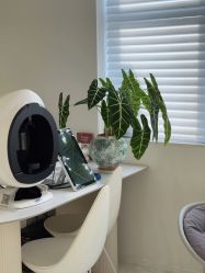 -安那般那皮肤年轻化ANAPANA