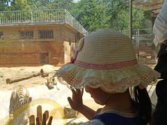 -昆明动物园