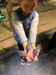 -酷嗒动物文化乐园(cutezoo西溪乐天城店)