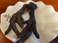 -老号尤兔头(幸福店)