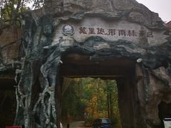 -莫里热带雨林景区