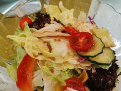 -新加坡泰园村酒楼直营(新华路店)