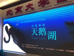 -北京大学百年讲堂