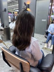 -藤野造型