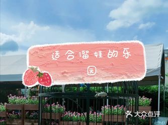 深圳遛娃看天空之城自然体验中心拓展孩子