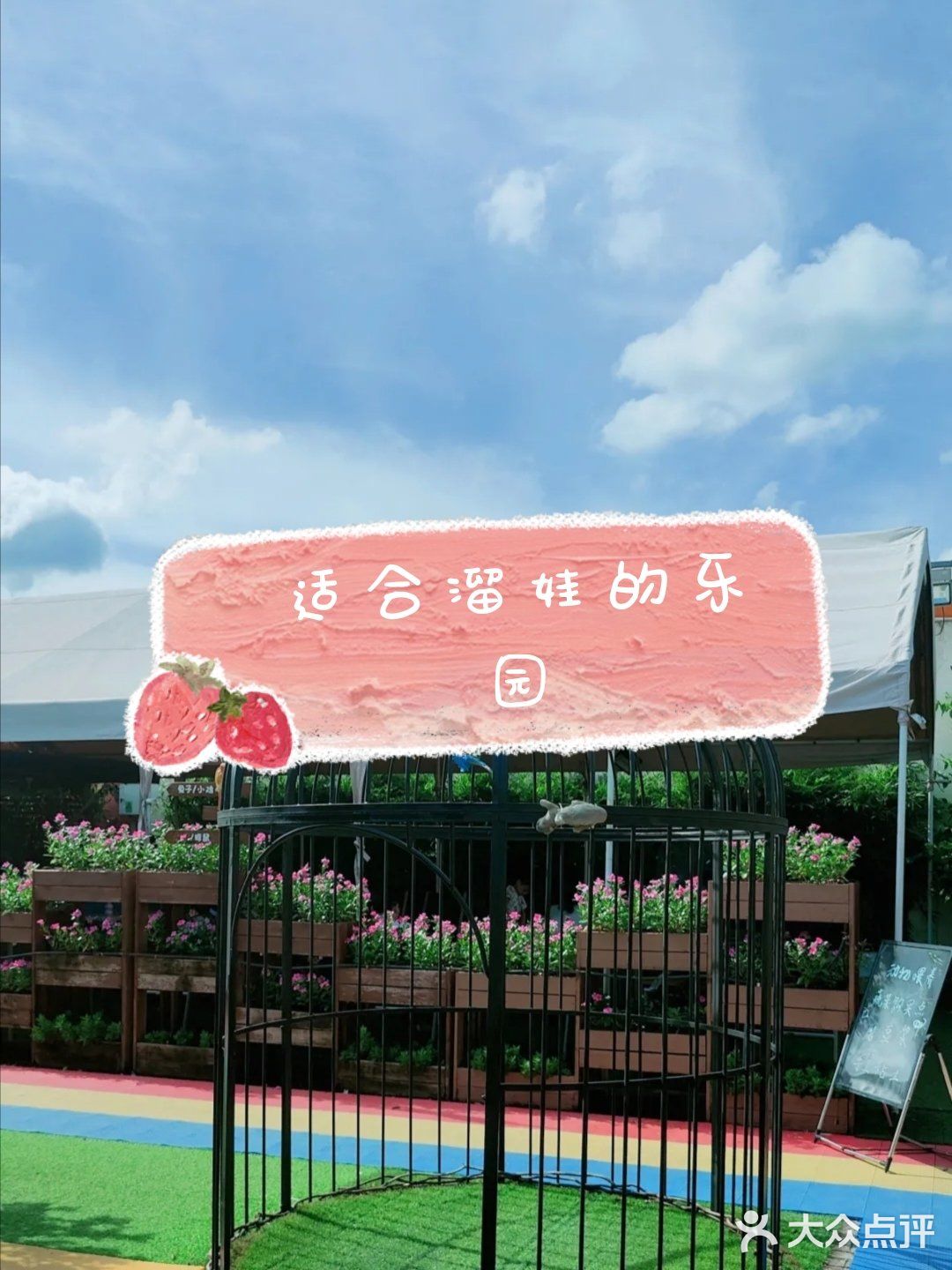 深圳遛娃看天空之城自然体验中心拓展孩子
