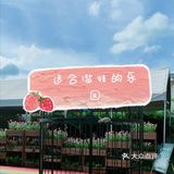 深圳遛娃看天空之城自然体验中心拓展孩子