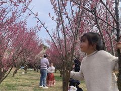 -蜀冈西峰生态公园