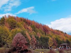 -硗碛藏寨·神木垒景区