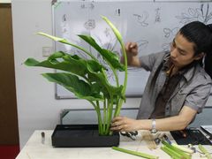 -荷兰布尔玛国际花艺学院