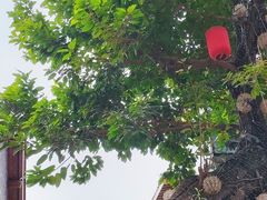 -山城巷传统风貌区