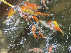 -泉眼温泉
