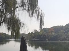 -上海怡沁园度假酒店