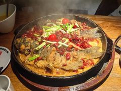 -老板恋上鱼(高新万达店)