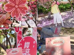 -莱阳濯村樱花园
