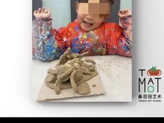 -学知乐教育·幼小衔接·小学科辅导(浦东外高桥森兰中心)