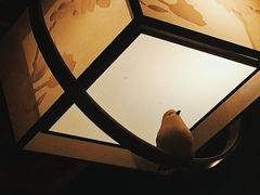 -裕和堂中医推拿艾灸(太古汇臻品店)