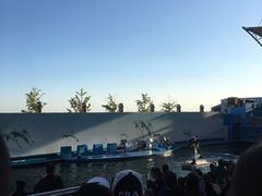 -秦皇岛新澳海底世界