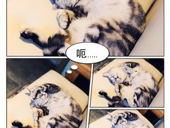 -狗舍宠物医院(四季商业广场店)