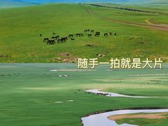 -呼伦贝尔大草原