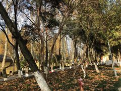 -T80科技文化国际社区-停车场