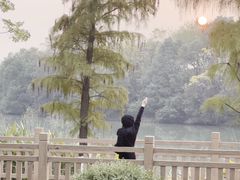 -艾溪湖湿地公园