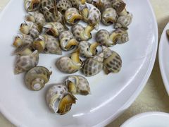 白灼花螺-锐记美食店·现捞海鲜(闸坡店)