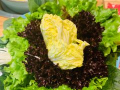 蔬菜拼盘-青瓷火锅料理(西单大悦城店)