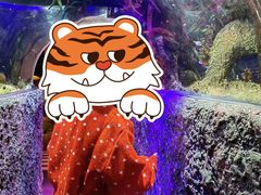 -沈阳海洋探索中心