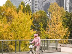 -重庆市江北嘴中央商务区中央公园