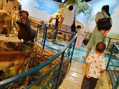 -陕西自然博物馆