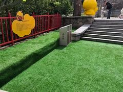 -燕塞湖鸟语林景区