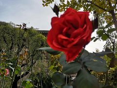 -西安关中民俗艺术博物院