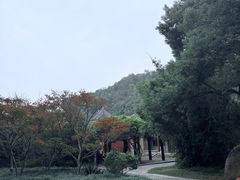 -焦山风景区