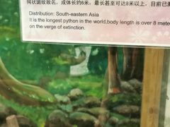 -上海大自然野生昆虫馆(东方明珠·爬宠昆虫探索中心)